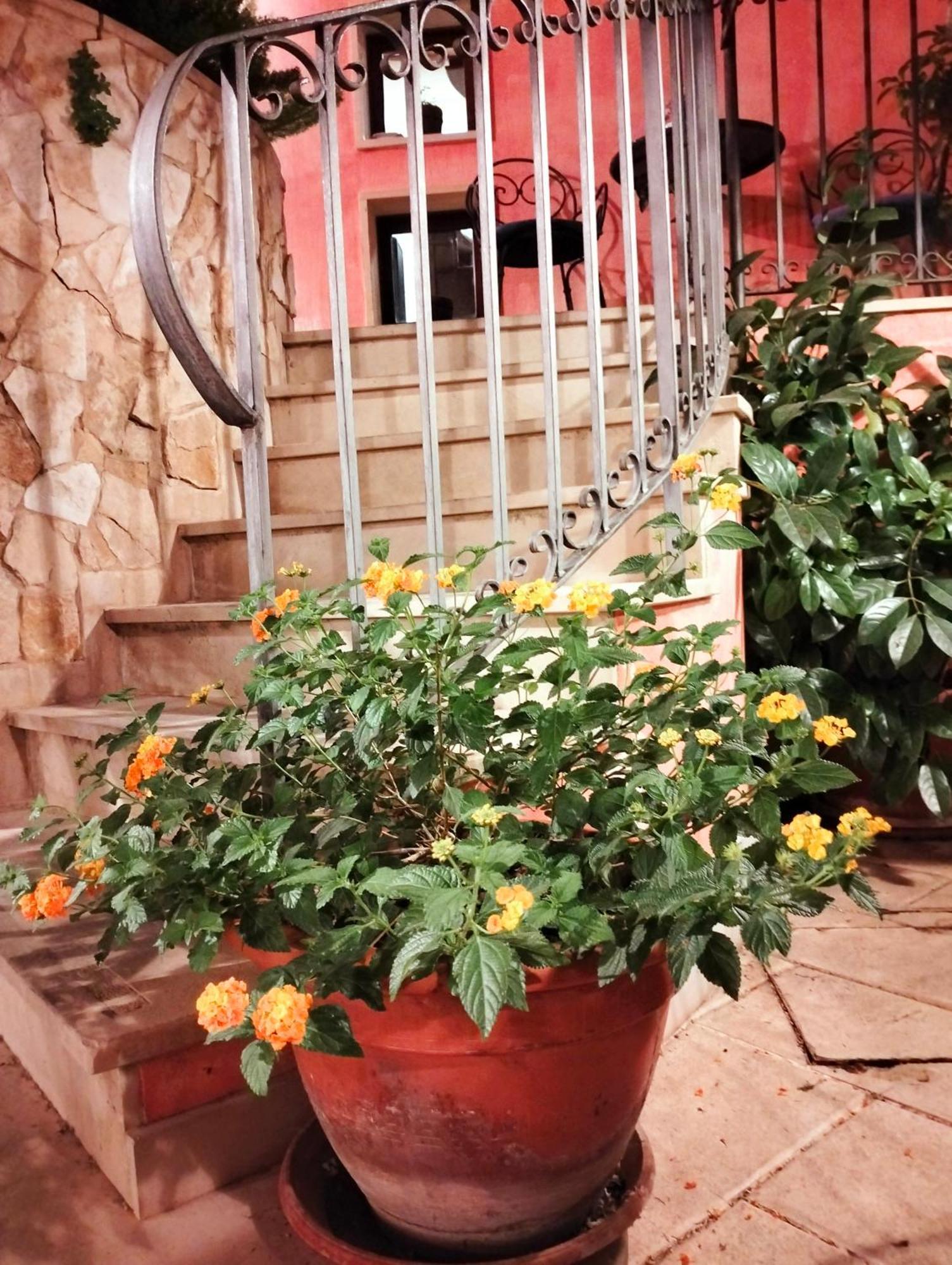 Hotel Il Barocco รากูซา ภายนอก รูปภาพ